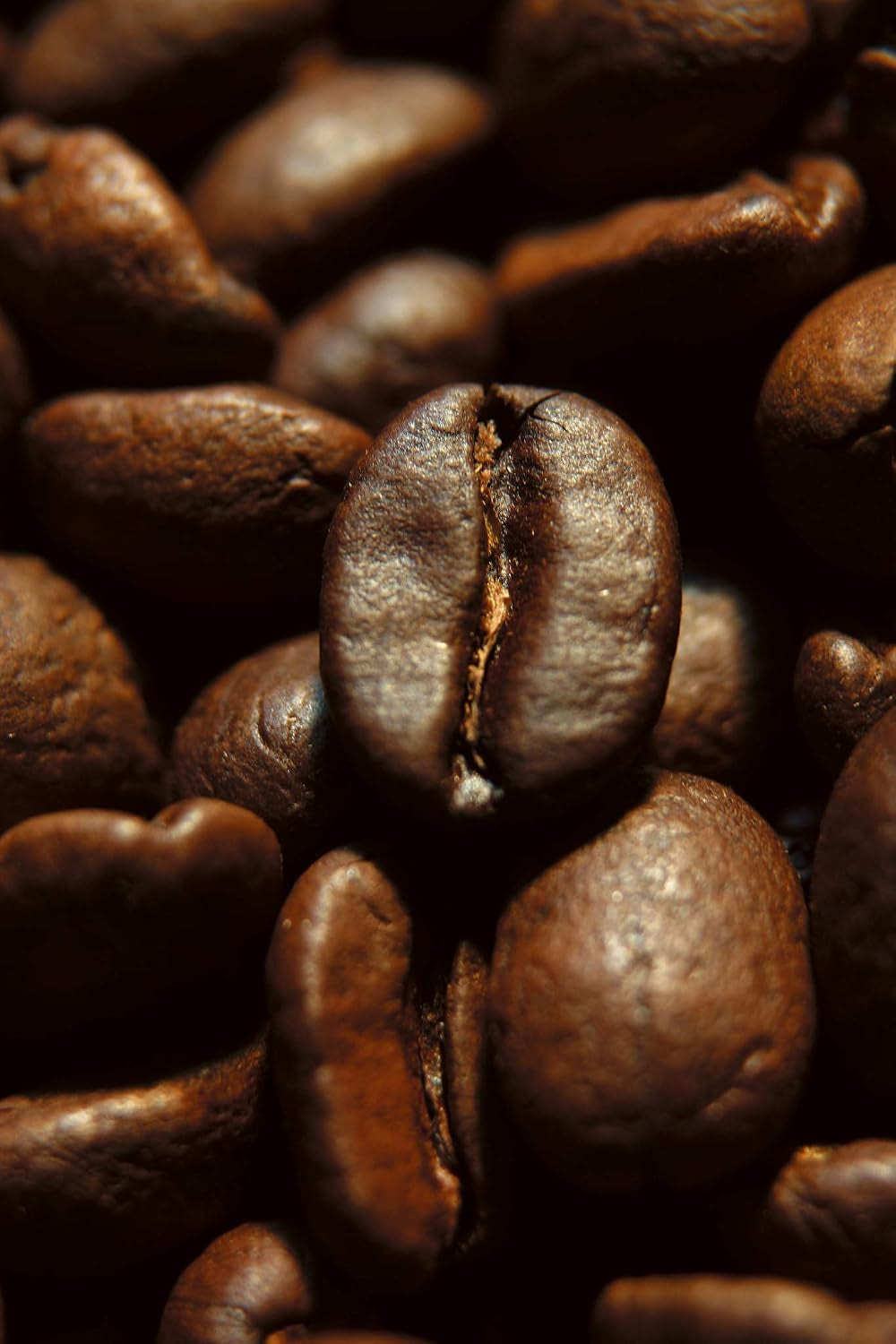 Caffè Corsini - Compagnia Dell'Arabica, Arabica Kaffeebohnen Aromatisch Und Cremig, 1 Kg Packung Geröstete Kaffeebohnen